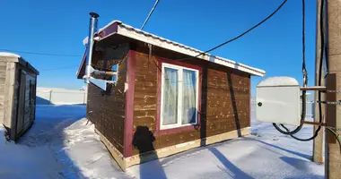 Dom 2 pokoi w Klopitsi, Rosja