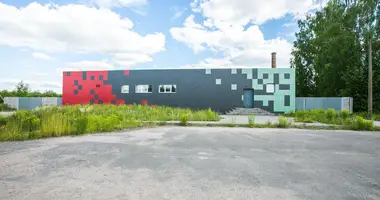 Manufacture 429 m² in Vialikaja Uchaloda, Belarus