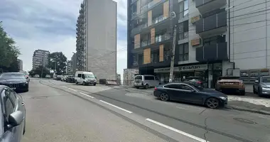 Коммерческое помещение 331 м² в Тбилиси, Грузия