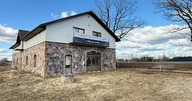 Dom w Staniunai, Litwa