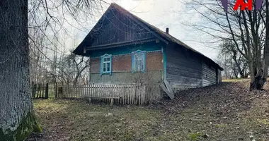 House in Sarsunski sielski Saviet, Belarus