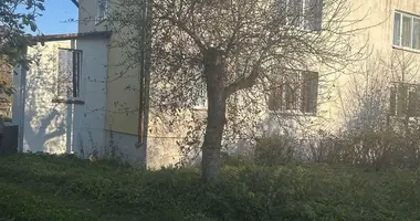 Maison dans Krupica, Bélarus