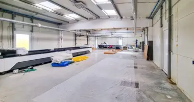 Propiedad comercial 671 m² en Zaliukes, Lituania