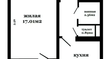 1 room apartment in Minsk, Belarus