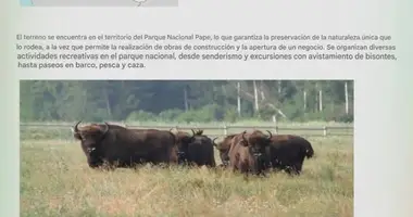 Участок земли в Rucavas pagasts, Латвия