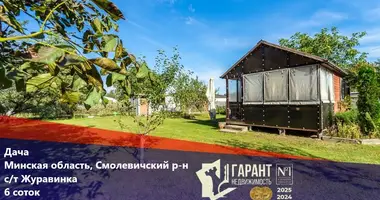 Haus in Zodzinski sielski Saviet, Belarus