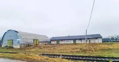 Warehouse 773 m² in Krasnaje, Belarus