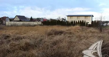 Plot of land in Carnaucycki sielski Saviet, Belarus