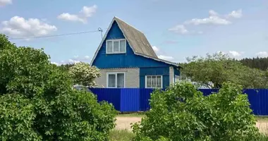 House in Zodziskauski sielski Saviet, Belarus