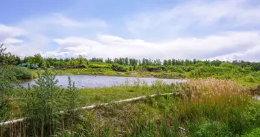 Grundstück in Paezerys I, Litauen
