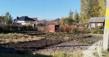 Участок земли в Знаменский сельский Совет, Беларусь