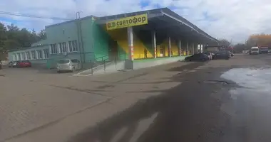 Propriété commerciale 3 538 m² dans Pinsk, Bélarus