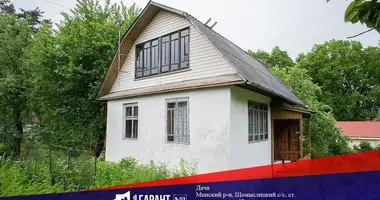 Haus in Scomyslica, Belarus