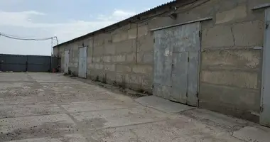 Nieruchomości komercyjne 1 000 m² w Avanhard, Ukraina