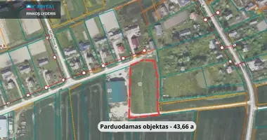 Działka w Borciany, Litwa