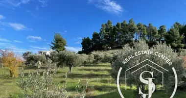 Producción en Pefkochori, Grecia