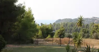 Terrain dans Kassandreia, Grèce