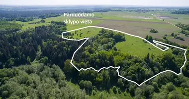 Działka w Janionys, Litwa