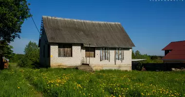 House in carauki, Belarus