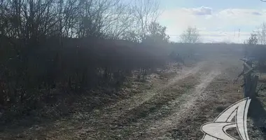 Parcela en Vielikarycki sielski Saviet, Belarús