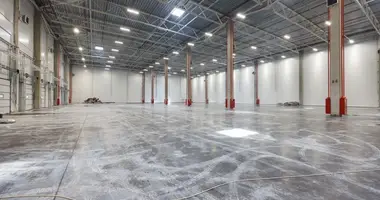 Склад 2 574 м² в Отрадное, Россия