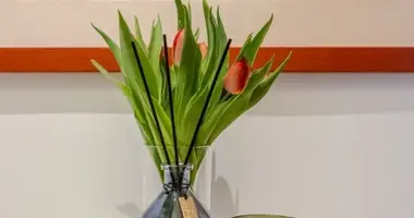 Appartement 2 chambres dans Klaipeda, Lituanie