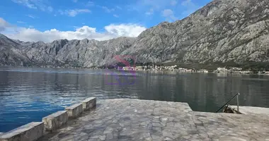 Квартира 1 комната в Прчань, Черногория