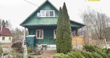 House in Rakauski sielski Saviet, Belarus