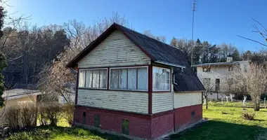 House in Muizelenai, Lithuania