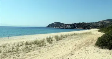 Terrain dans Aristotle Municipality, Grèce