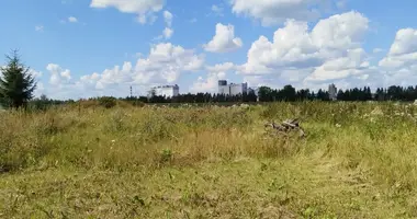 Участок земли в Гатчина, Россия
