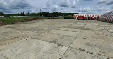 Magazyn 5 000 m² w Pushkinsky District, Rosja