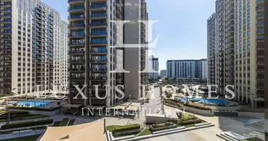 1 bedroom apartment in Dubai, United Arab Emirates