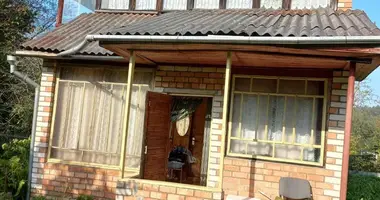 House in Radaskovicki sielski Saviet, Belarus