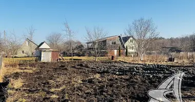 Parcela en Znamienski sielski Saviet, Belarús