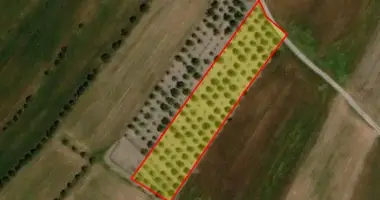 Apartment in Konia, Cyprus