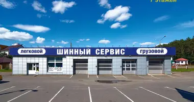 Propiedad comercial 248 m² en Minsk, Belarús