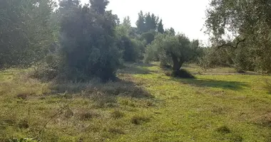 Terrain dans Kassandra Municipality, Grèce