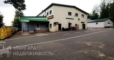 Büro 903 m² in Lahojsk, Belarus