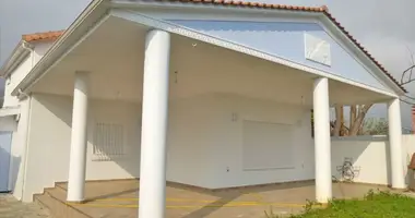 Villa 3 bedrooms in Leptokarya, Greece