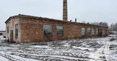 Fabrication 293 m² dans Dzivinski sielski Saviet, Bélarus