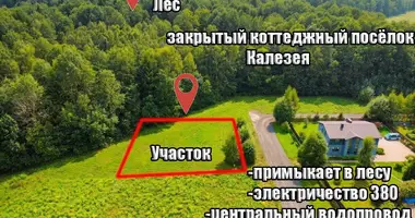 Участок земли в Беларучский сельский Совет, Беларусь