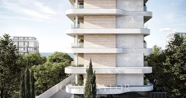 Apartamento 1 habitación en Koinoteta Mouttagiakas, Chipre