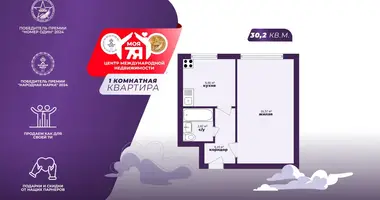 Wohnung 1 zimmer in Minsk, Belarus