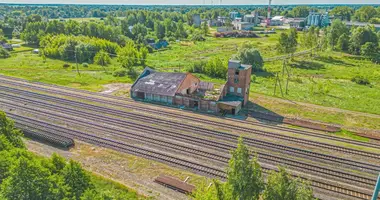 Propriété commerciale 691 m² dans Padurpinycys, Lituanie