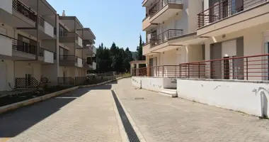 3 bedroom apartment in Melissochori, Greece