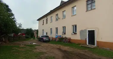 Квартира 3 комнаты в Юратишковский сельский Совет, Беларусь