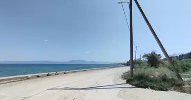 Działka w Agia Triada, Grecja