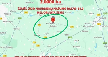 Plot of land in Bukonys, Lithuania