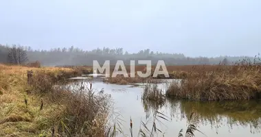Plot of land in Stelpes pagasts, Latvia
